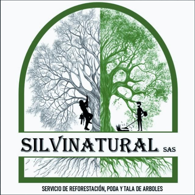 silvinatural.com